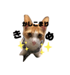 ちび子STAMP（個別スタンプ：9）