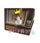 ちび子STAMP（個別スタンプ：12）
