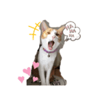 ちび子STAMP（個別スタンプ：14）