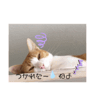 ちび子STAMP（個別スタンプ：16）