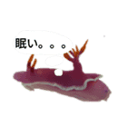 すいぞくかんのなかまたち by whale（個別スタンプ：14）
