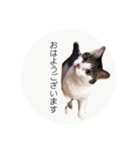 ume➁（個別スタンプ：9）