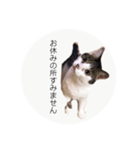 ume➁（個別スタンプ：13）