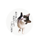 ume➁（個別スタンプ：15）