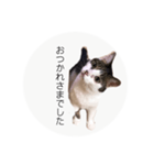 ume➁（個別スタンプ：21）