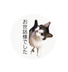 ume➁（個別スタンプ：22）