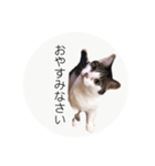 ume➁（個別スタンプ：23）