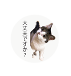 ume➁（個別スタンプ：24）