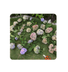 花ナチュラル（個別スタンプ：11）