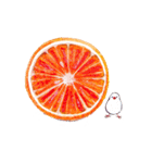 食べ物と文鳥。（個別スタンプ：17）