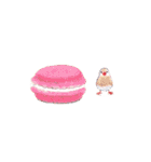 食べ物と文鳥。（個別スタンプ：20）
