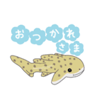 サメスタンプm（個別スタンプ：5）