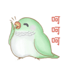 幸せ可愛いインコ-ぶどうちゃん＆雪玉日記（個別スタンプ：3）