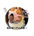 ピットブル＆ブルドッグ♡お茶目なブリガジ4（個別スタンプ：3）