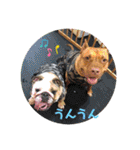 ピットブル＆ブルドッグ♡お茶目なブリガジ4（個別スタンプ：10）