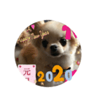 TiaraクンSTAMP②（個別スタンプ：1）