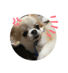 TiaraクンSTAMP②（個別スタンプ：5）