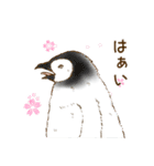 オウサマペンギンのヒナ・きんちゃん2（個別スタンプ：4）