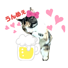 [LINEスタンプ] おてんばぴーこ