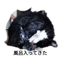 [LINEスタンプ] 黒埼の日常3