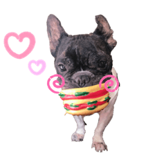 [LINEスタンプ] わんこ達♡