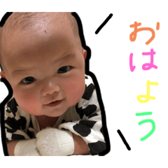[LINEスタンプ] ノアチャン。