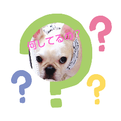 [LINEスタンプ] ココちゃんの表情part2