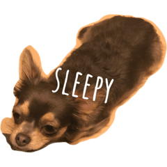 [LINEスタンプ] おてぃーさん