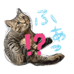 [LINEスタンプ] おりぶ  と  ゆっきー 1