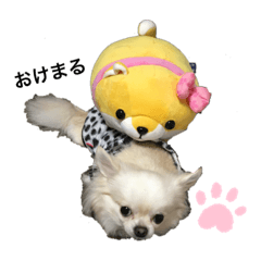 [LINEスタンプ] 愉快なわんちゃんたち