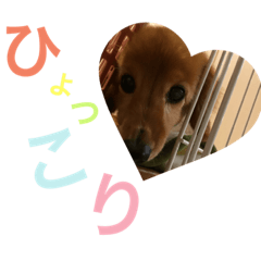 [LINEスタンプ] 清水家のぽてとくん