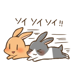 [LINEスタンプ] うさぎさん生活