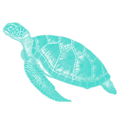 [LINEスタンプ] 海の生き物スタンプ！！！！！