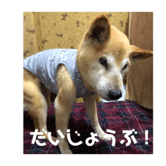 [LINEスタンプ] ザウルス8