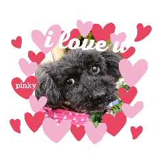 [LINEスタンプ] まいにち pinky②