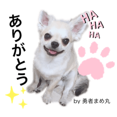 [LINEスタンプ] わが家の愉快な仲間たち。part1