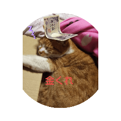 [LINEスタンプ] みゃーご