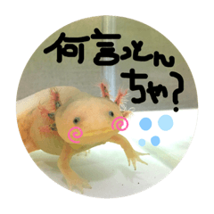 [LINEスタンプ] ウパマル