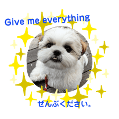 [LINEスタンプ] zoe_the_puppo スタンプ2