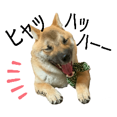 [LINEスタンプ] 豆柴ふくちゃん♥️