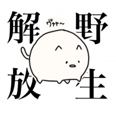 [LINEスタンプ] ヴィァァァ