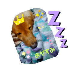 [LINEスタンプ] みんな大好き！マロンちゃんスタンプ