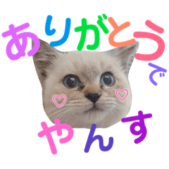 [LINEスタンプ] でやんす❤️スタンプ