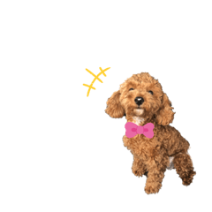 [LINEスタンプ] 我が子の可愛い表情