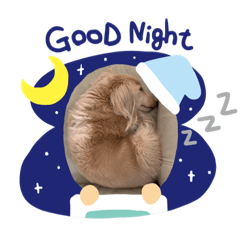 [LINEスタンプ] まろん'sまったり生活
