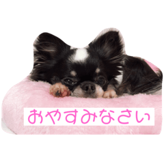 [LINEスタンプ] わんわんですの