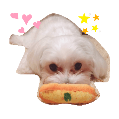 [LINEスタンプ] 家の、ワンちゃん