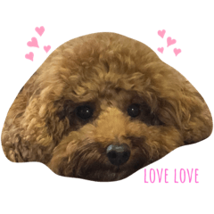 [LINEスタンプ] ぷぷまるくん