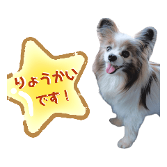 [LINEスタンプ] パピヨンのリーチくん