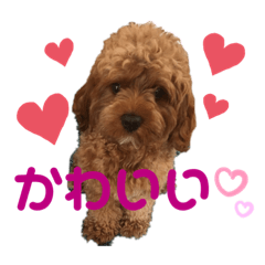[LINEスタンプ] melonスタンプ2